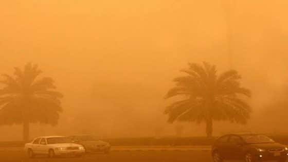 أتربة ورياح.. حالة الطقس المتوقعة اليوم الجمعة 30 يناير – القاهرة تايمز