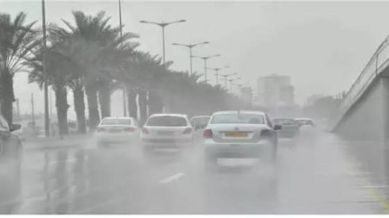 أتربة ورياح.. حالة الطقس المتوقعة اليوم السبت 31 يناير – القاهرة تايمز