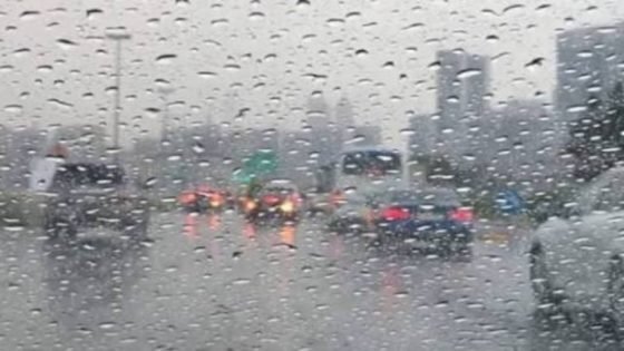 أمطار وشبورة.. حالة الطقس المتوقعة اليوم السبت 24 يناير – القاهرة تايمز