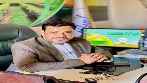 المهندس حمدي السيد احمد