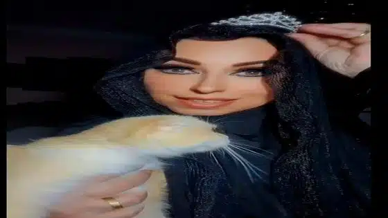 أمل إبراهيم ملكة القطط.