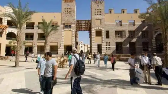 الدراسة في الجامعات