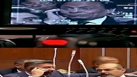 ياسر جلال يقلد مرجان أحمد مرجان في مجلس الشيوخ