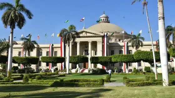 جامعة القاهرة