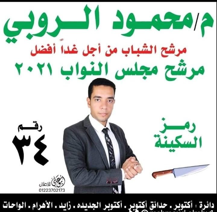 محمود محمد الروبى