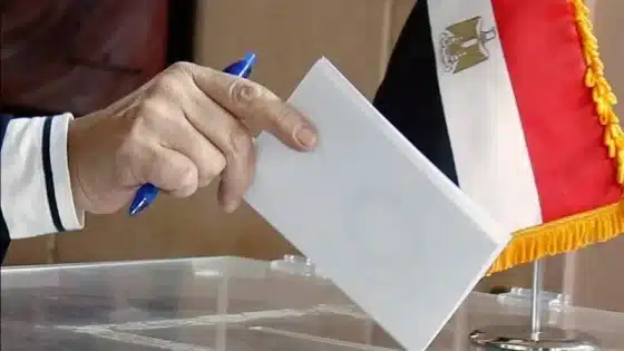 نتائج انتخابات مجلس النواب.. مستقبل وطن وحماة الوطن والشعب الجمهوري في الصدارة