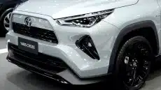 ياريس Nightshade