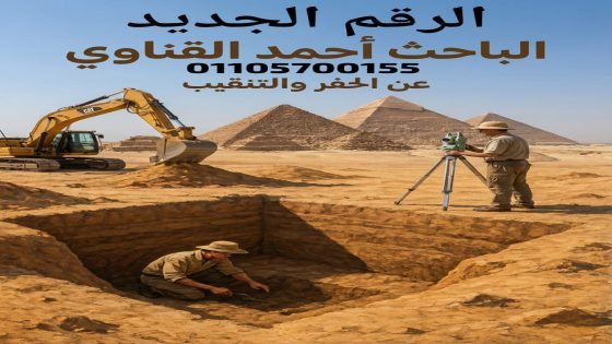 الباحث: أحمد السيد القناوي