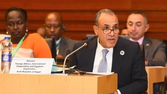 الدكتور بدر عبد العاطي وزير الخارجية