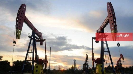 أسعار النفط تتراجع بعد ترخيص أمريكي لشراء الخام الروسي – القاهرة تايمز