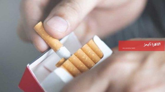 استقرار أسعار السجائر المحلية والأجنبية بمصر في تعاملات اليوم – القاهرة تايمز