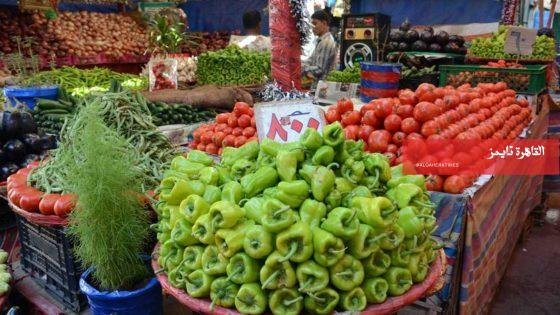 حرب إيران أم جشع التجار.. لماذا قفزت أسعار الخضروات 300% خلال 15 يومًا؟ – القاهرة تايمز