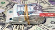  سعر الدولار في مصر اليوم السبت 14 مارس 2026 – القاهرة تايمز