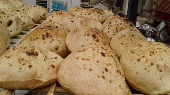  شعبة المخابز: سعر العيش السياحي سيرتفع بنفس نسبة الوقود – القاهرة تايمز