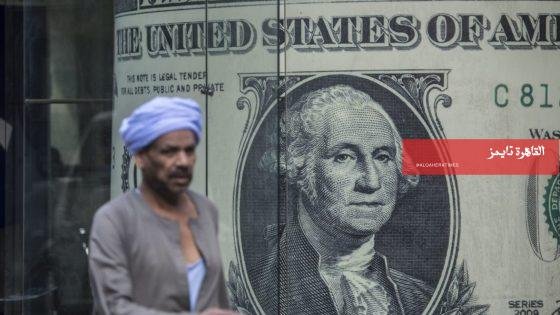 قفزة جديدة.. سعر الدولار يواصل الصعود أمام الجنيه – القاهرة تايمز
