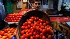  وصلت 40 جنيهًا للكيلو.. متى تنتهي موجة جنون أسعار الطماطم؟ – القاهرة تايمز
