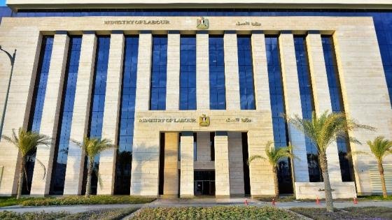 62 فرصة لسائقي الحافلات بدولة خليجية.. تعرف على الشروط والراتب – القاهرة تايمز