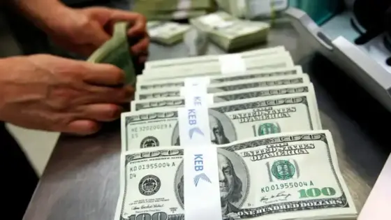 استقرار سعر الدولار أمام الجنيه المصري في البنوك اليوم الثلاثاء 26 أغسطس 2025