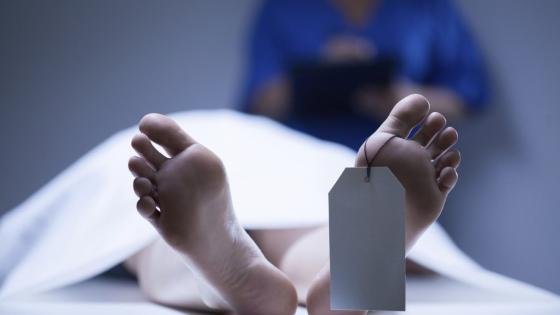أزعجهم ففتحوا النار عليه.. شابان ينهيان حياة حارس فيلا اعترض على صوت أغانيهما – القاهرة تايمز