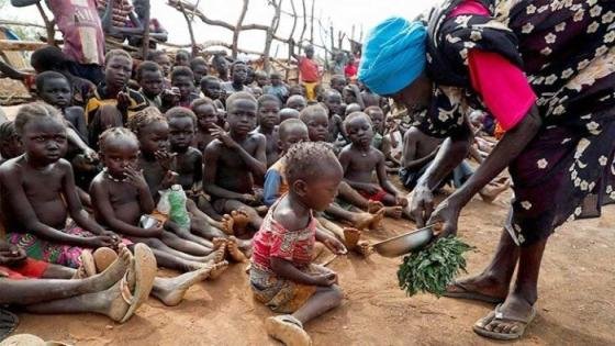 أطباء السودان: وفاة 239 طفلا بسبب سوء التغذية فى شمال دارفور – القاهرة تايمز