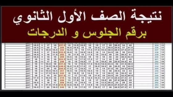 الآن.. ظهور نتيجة الصف الأول الثانوي رسميًا في محافظة القاهرة – القاهرة تايمز