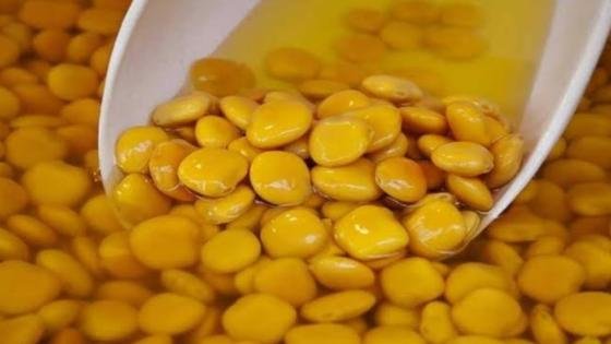 الترمس بين الفوائد والمخاطر: أصحاب هذه الأمراض يمتنعون – القاهرة تايمز