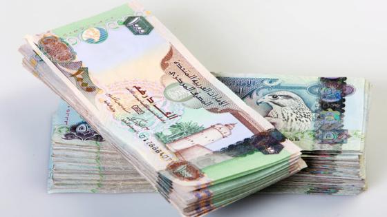 الدرهم الإماراتي
