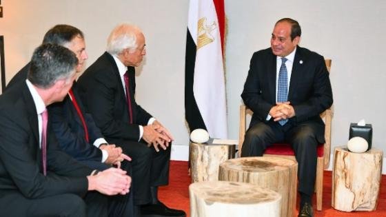 الرئيس السيسي يؤكد لرئيس مجموعة “كوبولوزيس اليونانية” حرص مصر على تعزيز التعاون مع المجموعة في مجال الكهرباء – القاهرة تايمز