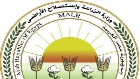 الزراعة: المجازر الحكومية تستقبل 7900 أضحية في اليوم الثالث للعيد – القاهرة تايمز