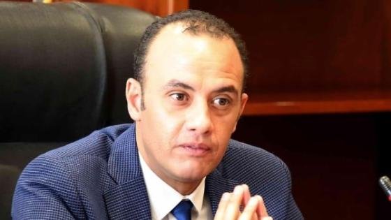 «السوق يعاني من تلاعب بعض السماسرة».. رئيس الشعبة يرد على شائعة نفوق 30% من إنتاج الدواجن في مصر – القاهرة تايمز