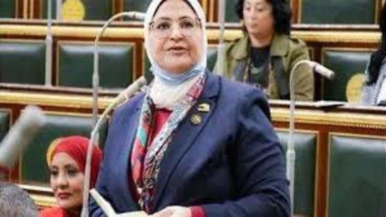 النائبة هناء سرور: قرار احتلال غزة جريمة دولية مكتملة الأركان – القاهرة تايمز