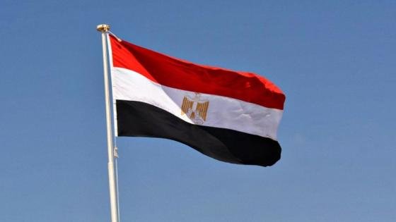 بيان مصري عاجل بشأن متطلبات زيارة الوفود المتضامنة مع غزة – القاهرة تايمز