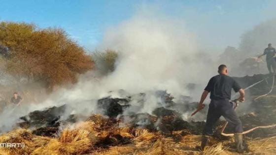 حريق ثالث يلتهم أجران وشون محصول القمح في الوادى الجديد – القاهرة تايمز