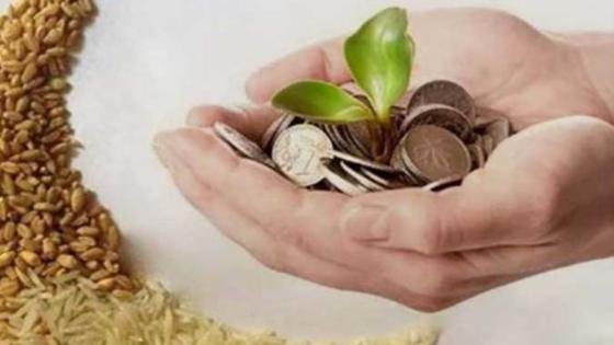 حكم إخراج زكاة الفطر عن الآخرين؟.. الإفتاء توضح – القاهرة تايمز