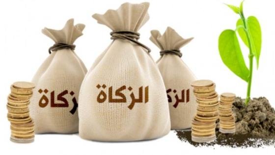 حكم زكاة الفطر لمن عليه ديون؟.. الإفتاء توضح – القاهرة تايمز