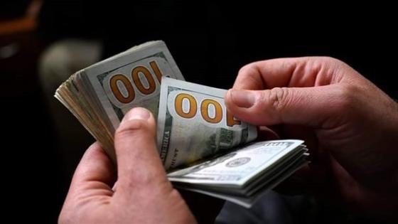 سعر الدولار الآن في مصر بعد قرار خفض أسعار الفائدة من البنك المركزي – القاهرة تايمز