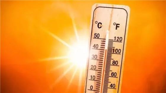 «شديد الحرارة والعظمى بالقاهرة 36 درجة».. الأرصاد الجوية تكشف طقس ثالث أيام عيد الأضحى – القاهرة تايمز