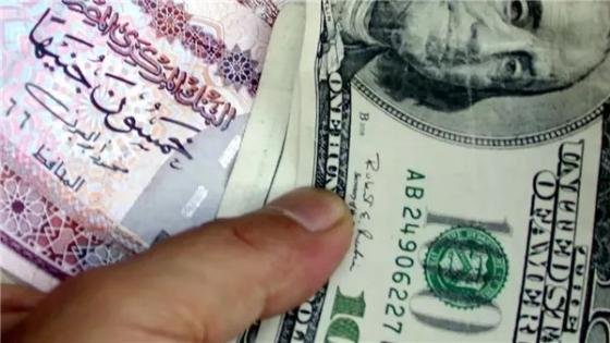 صندوق النقد يخفض توقعاته لمتوسط سعر صرف الجنيه أمام الدولار لأقل من 50 جنيهًا – القاهرة تايمز