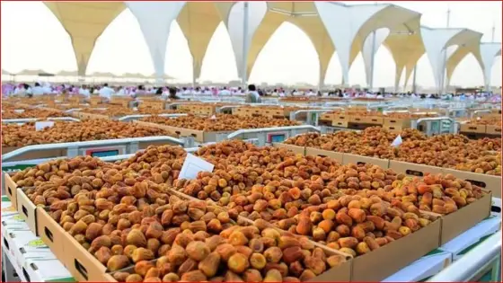كرنفال بريدة للتمور يشهد ارتفاعًا في أعداد المركبات وكميات التمور – القاهرة تايمز