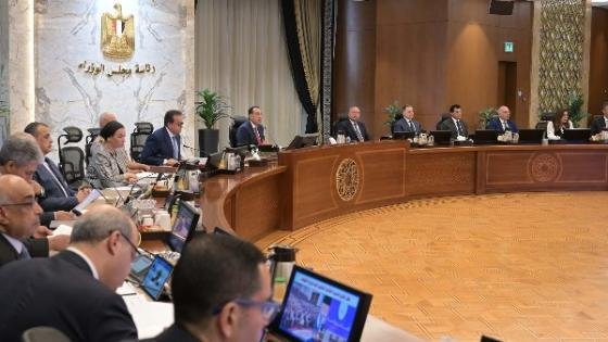 مجلس الوزراء يصدر اللائحة التنفيذية لقانون تنظيم حيازة الحيوانات الخطرة والكلاب – القاهرة تايمز