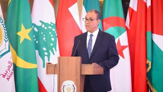 وزير الخارجية يشارك في الجلسة الافتتاحية للمؤتمر العاشر لمنظمة المرأة العربية – القاهرة تايمز